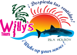 Willy's Tours Holbox
