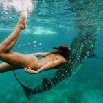 Willy's Holbox Whale Shark Tours